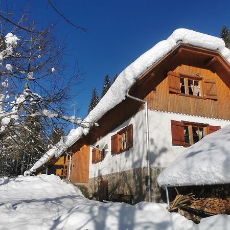 Pohorje House 2 Four Appartmetns Oplotnica ภายนอก รูปภาพ