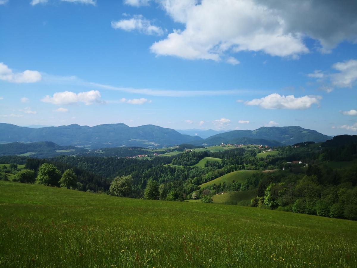 Pohorje House 2 Four Appartmetns Oplotnica ภายนอก รูปภาพ