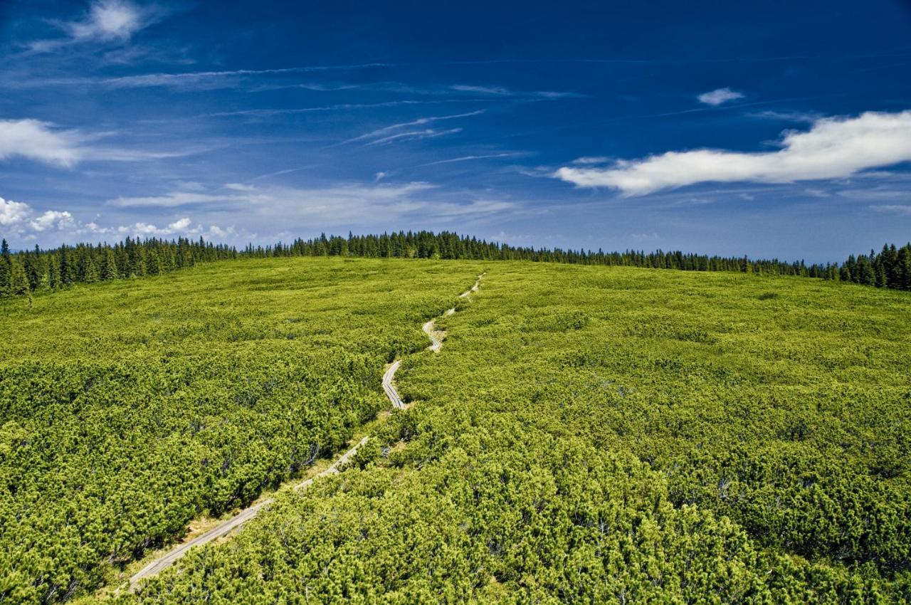 Pohorje House 2 Four Appartmetns Oplotnica ภายนอก รูปภาพ
