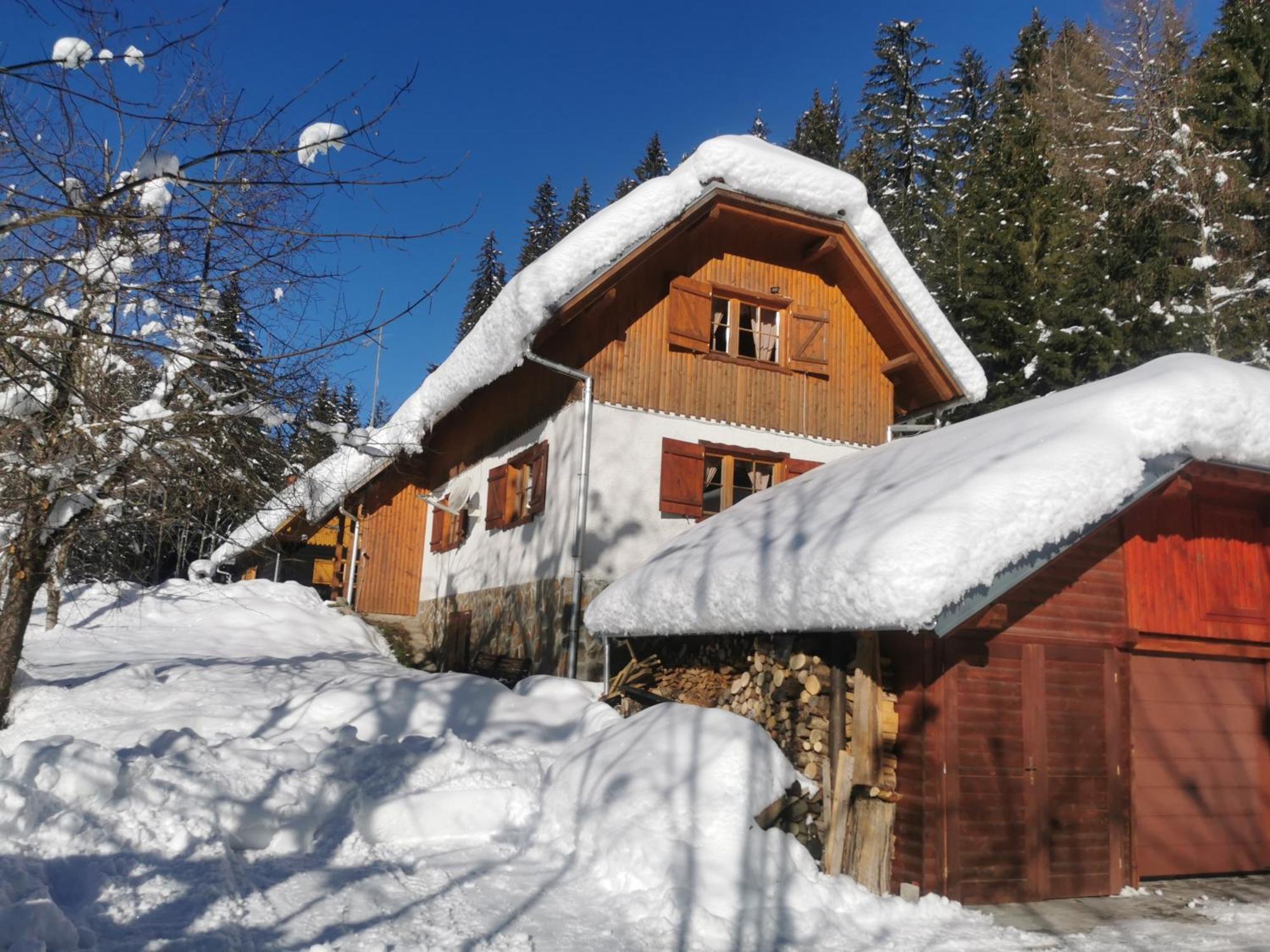 Pohorje House 2 Four Appartmetns Oplotnica ภายนอก รูปภาพ