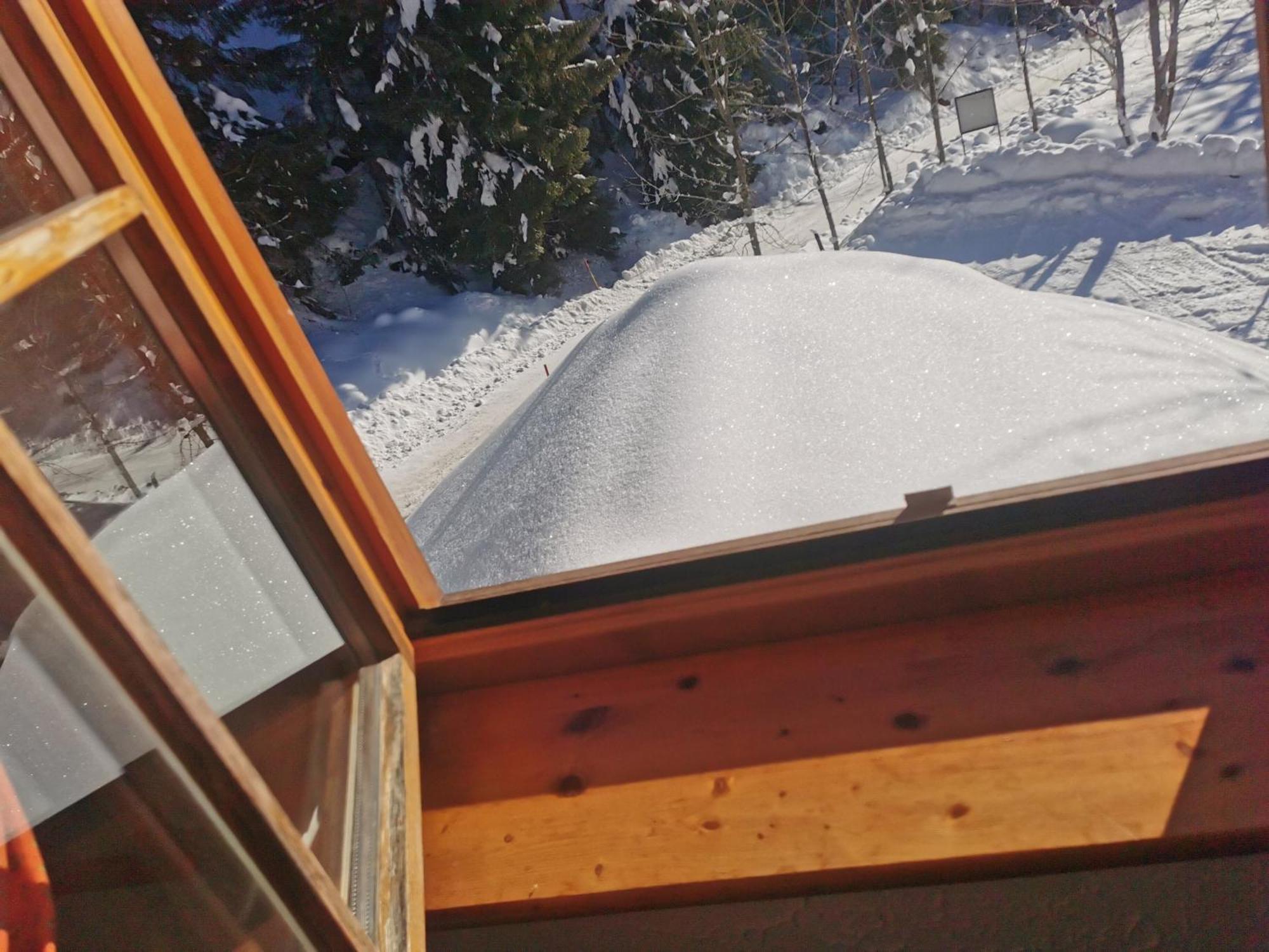 Pohorje House 2 Four Appartmetns Oplotnica ภายนอก รูปภาพ