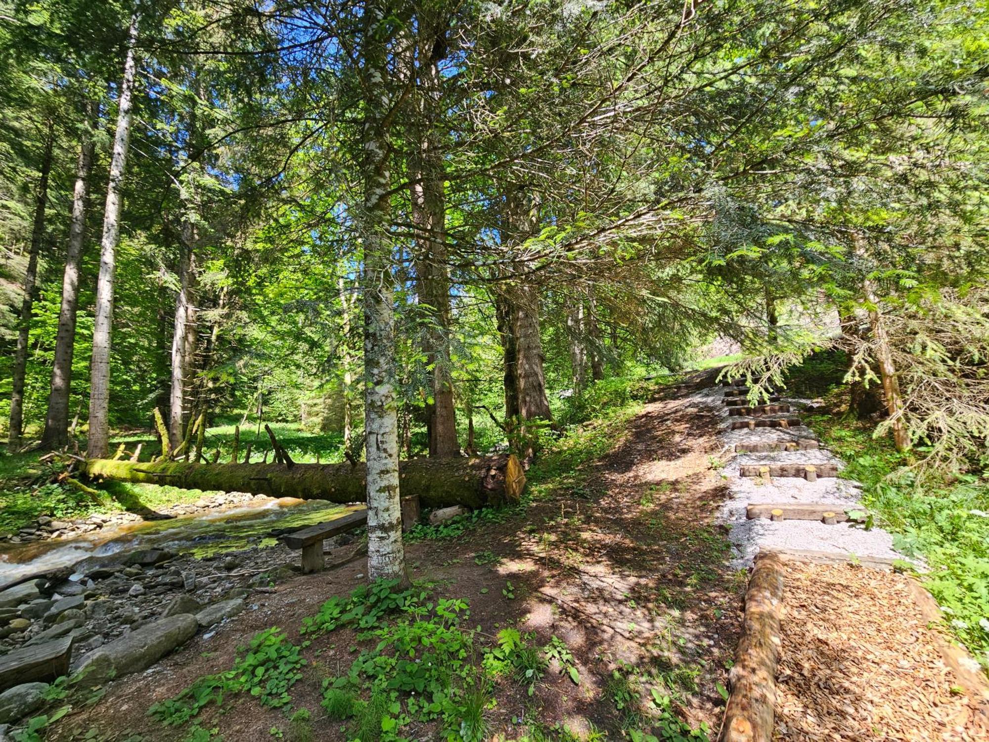 Pohorje House 2 Four Appartmetns Oplotnica ภายนอก รูปภาพ
