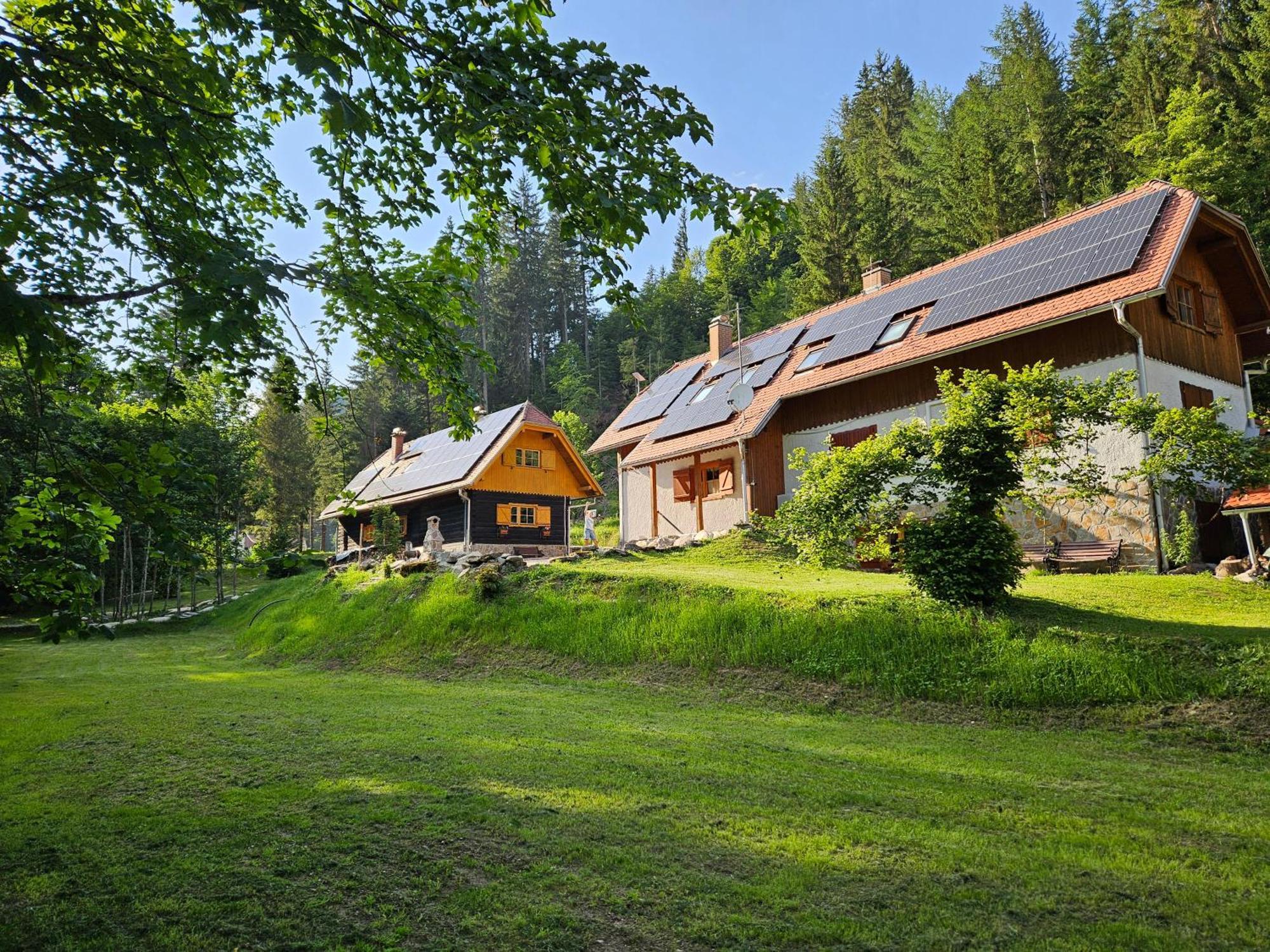 Pohorje House 2 Four Appartmetns Oplotnica ภายนอก รูปภาพ