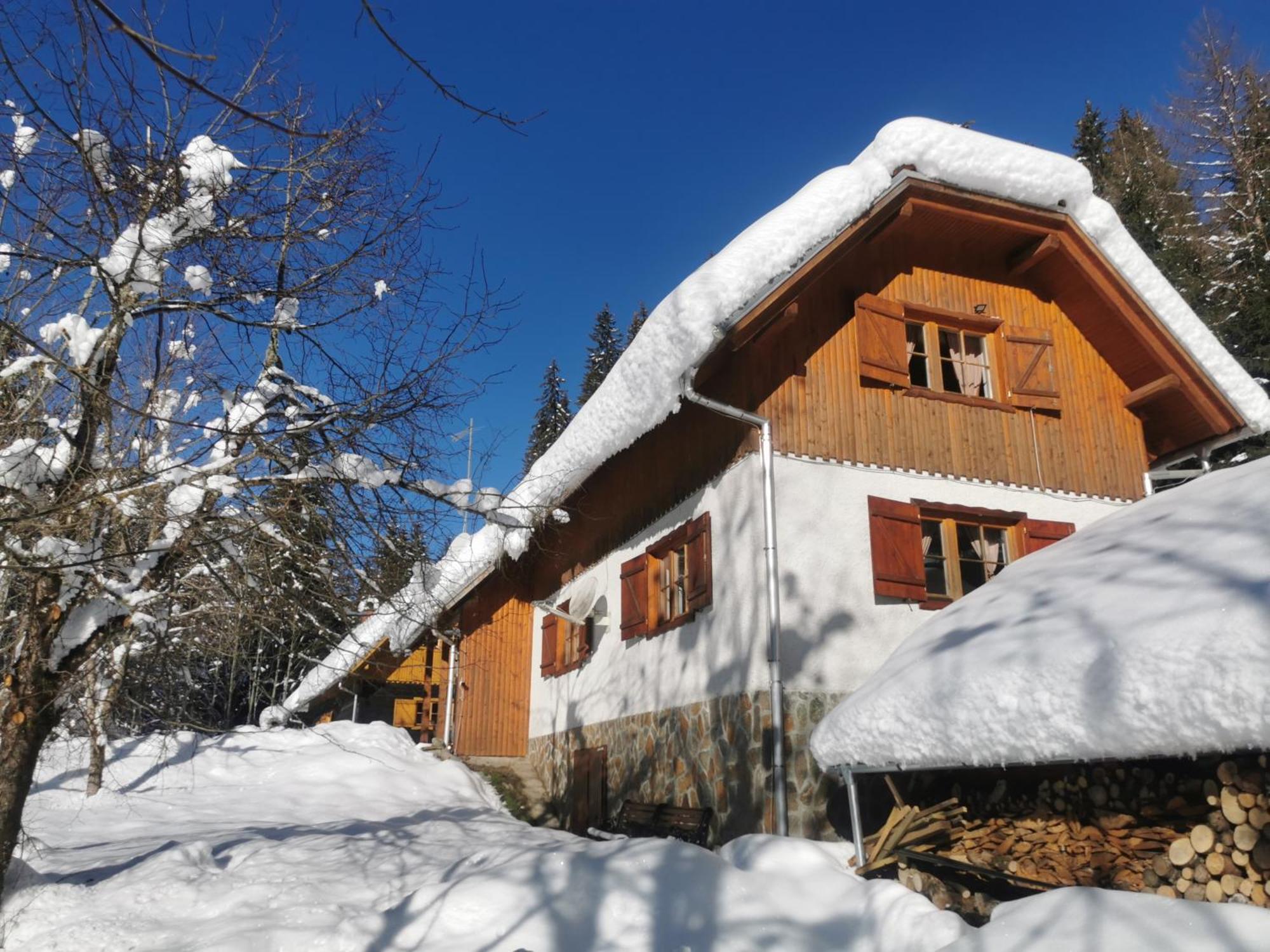 Pohorje House 2 Four Appartmetns Oplotnica ภายนอก รูปภาพ
