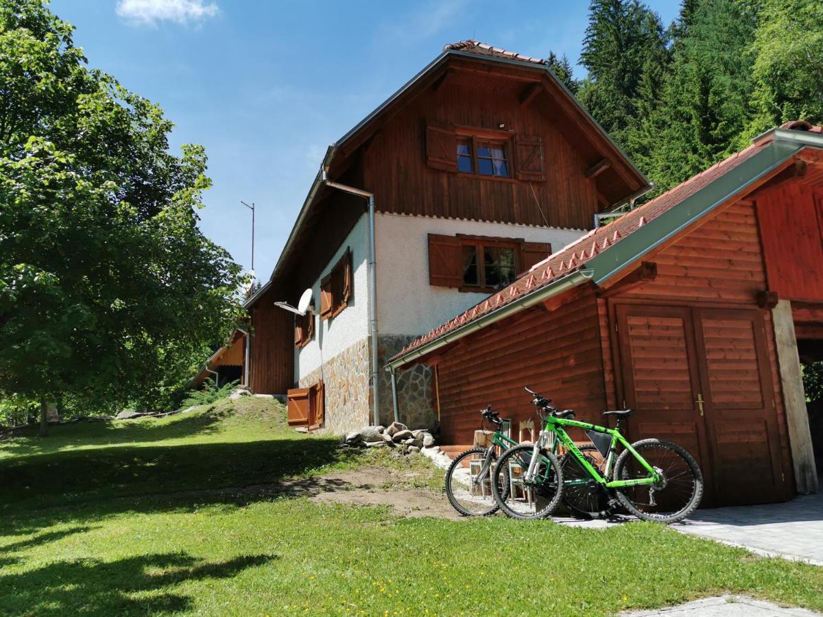 Pohorje House 2 Four Appartmetns Oplotnica ภายนอก รูปภาพ
