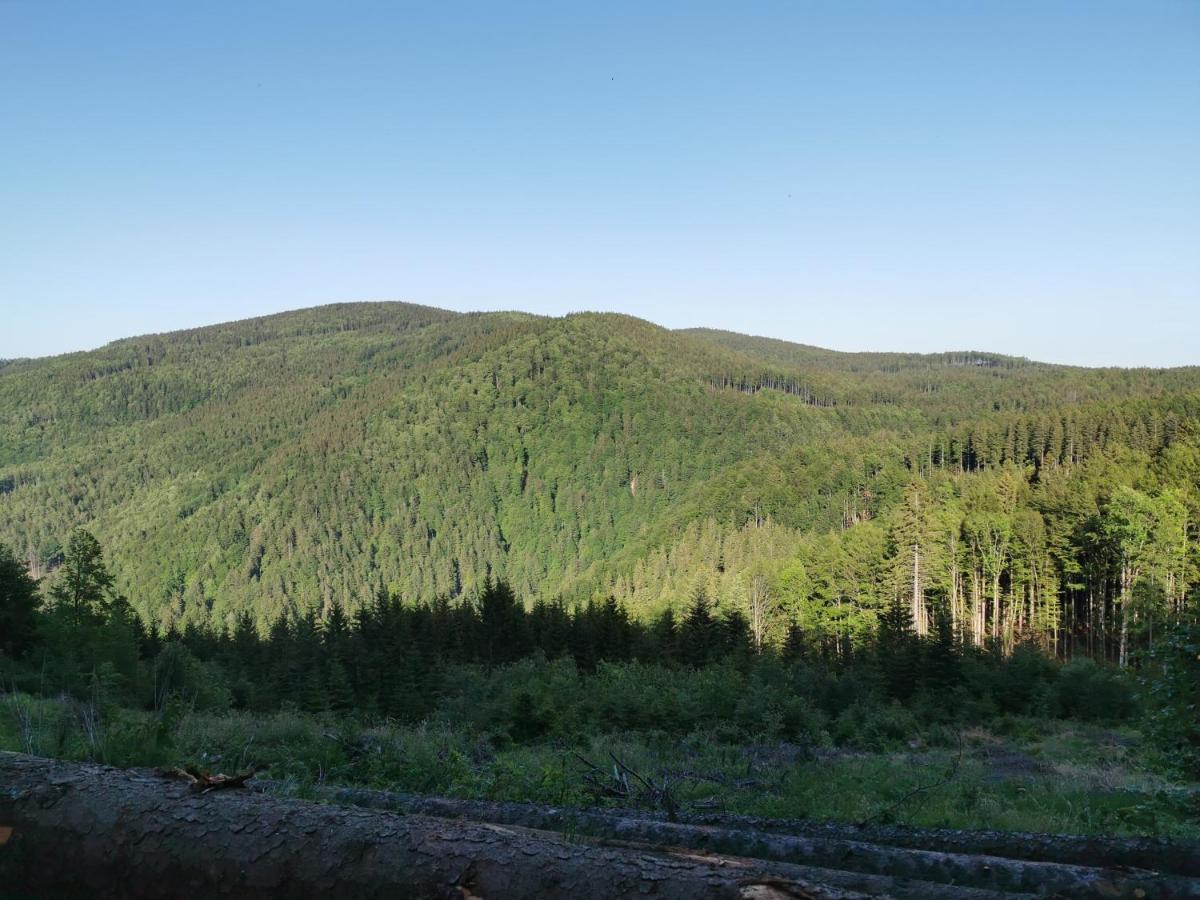 Pohorje House 2 Four Appartmetns Oplotnica ภายนอก รูปภาพ